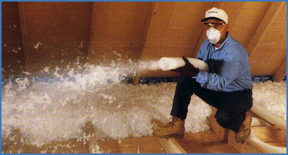 Insulsafe